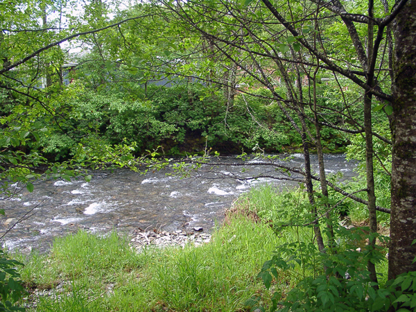 Creek behind the buildings